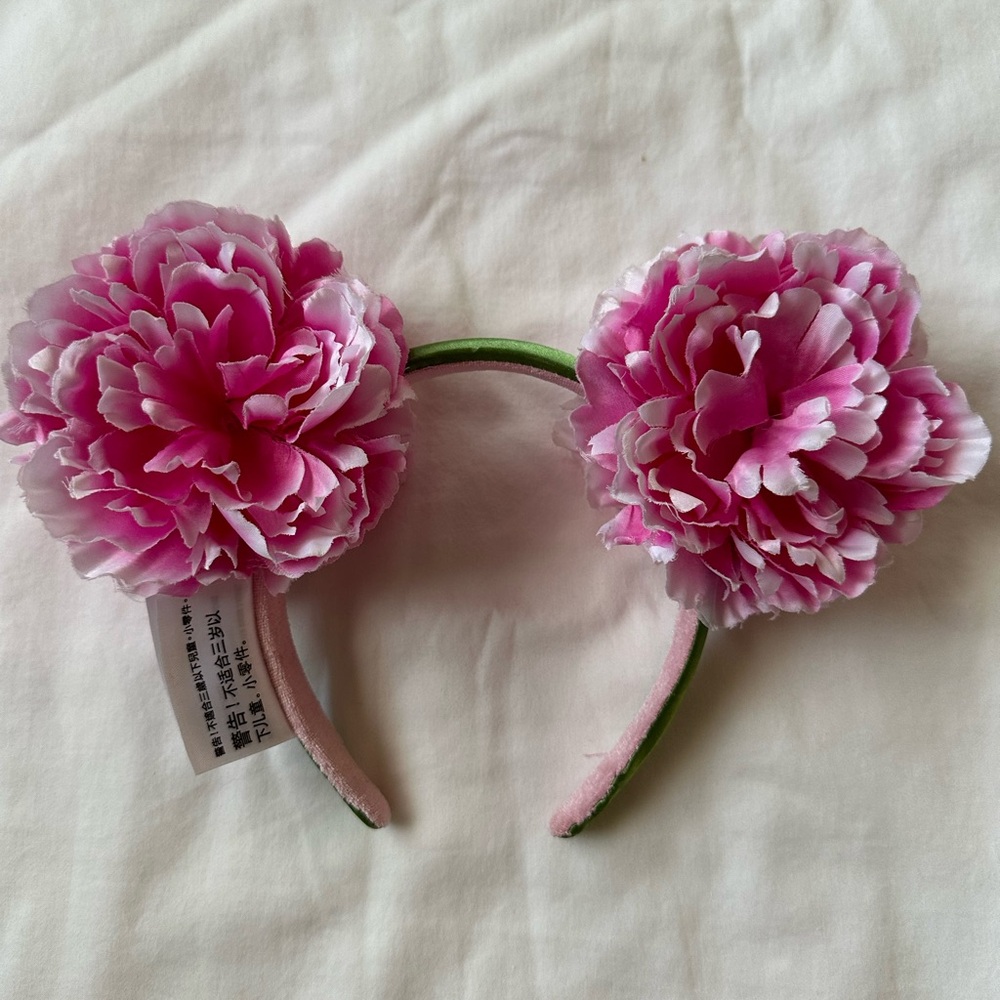 Disney Ears - Picture 2 of 5